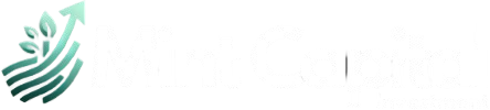 Mint Capital Investment